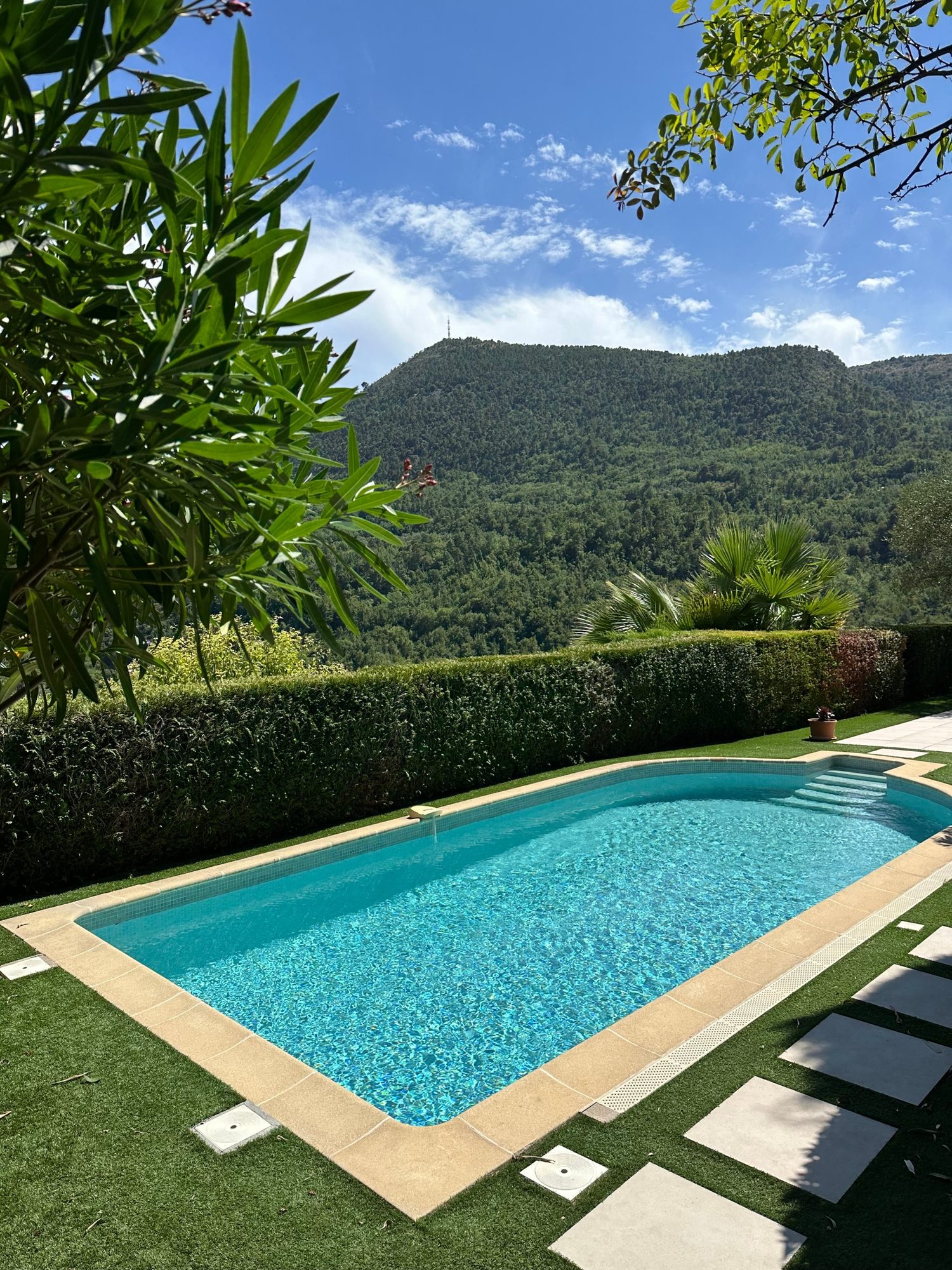 Piscine à l'eau turquoise et limpide dans un jardin, face aux collines