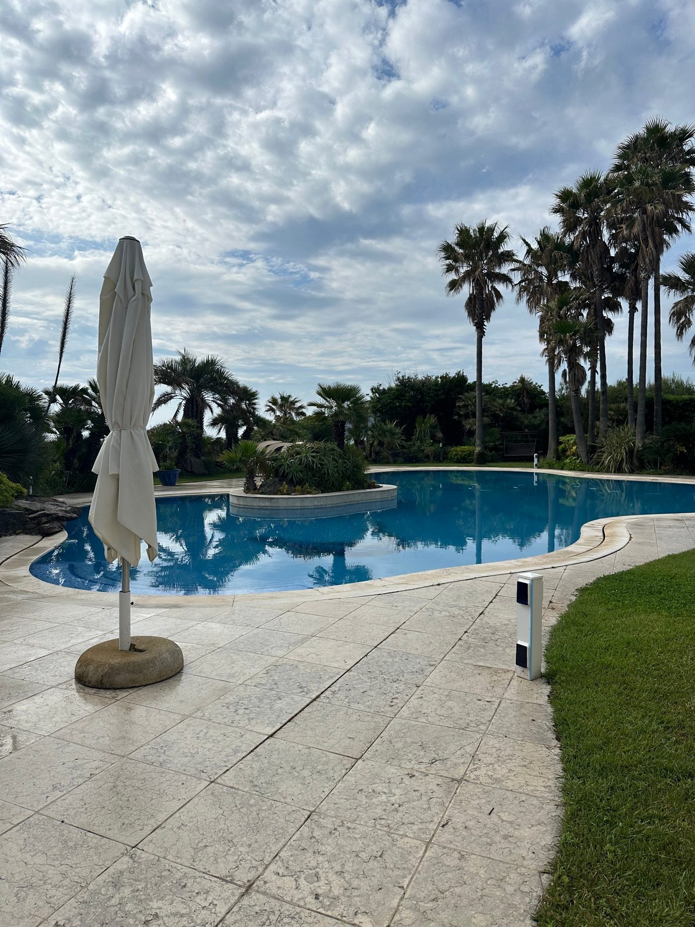 Piscine aux formes libres, eau bleue et limpide, entourée de palmiers