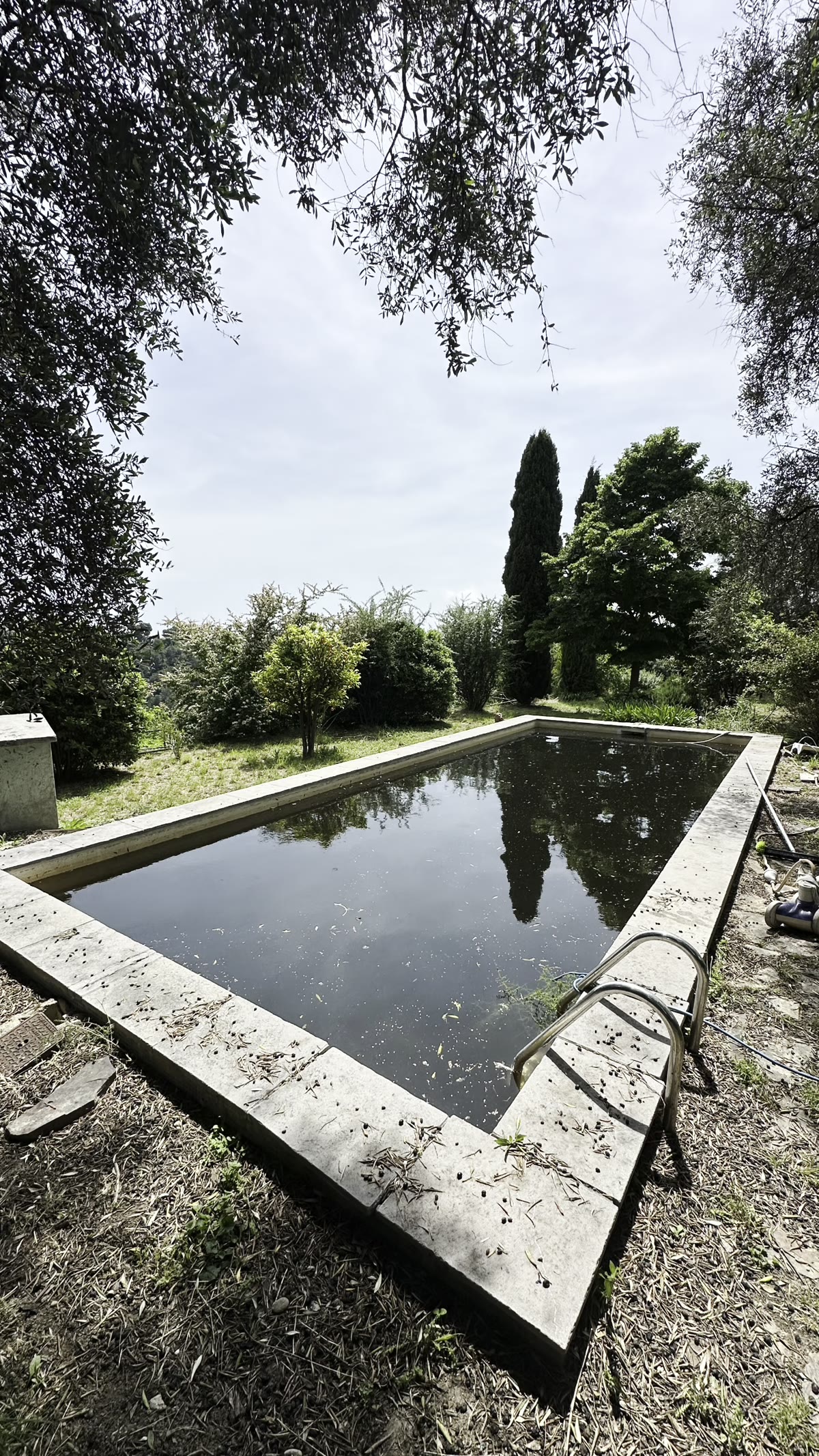 Bassin laissé à l'abandon, eau sombre et chargée de feuilles